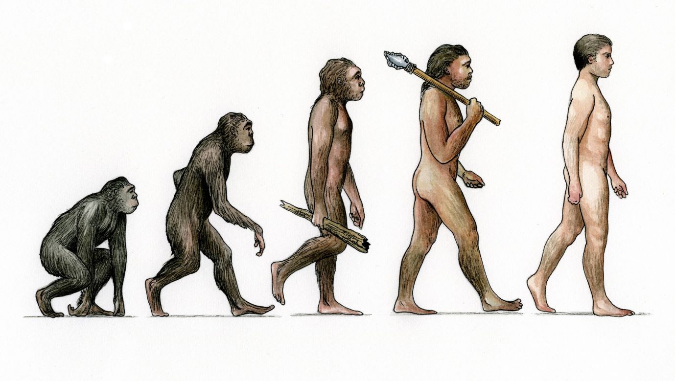 Ewolucja człowieka według Darwina. Fot. The Print Collector/Print Collector/Getty Images