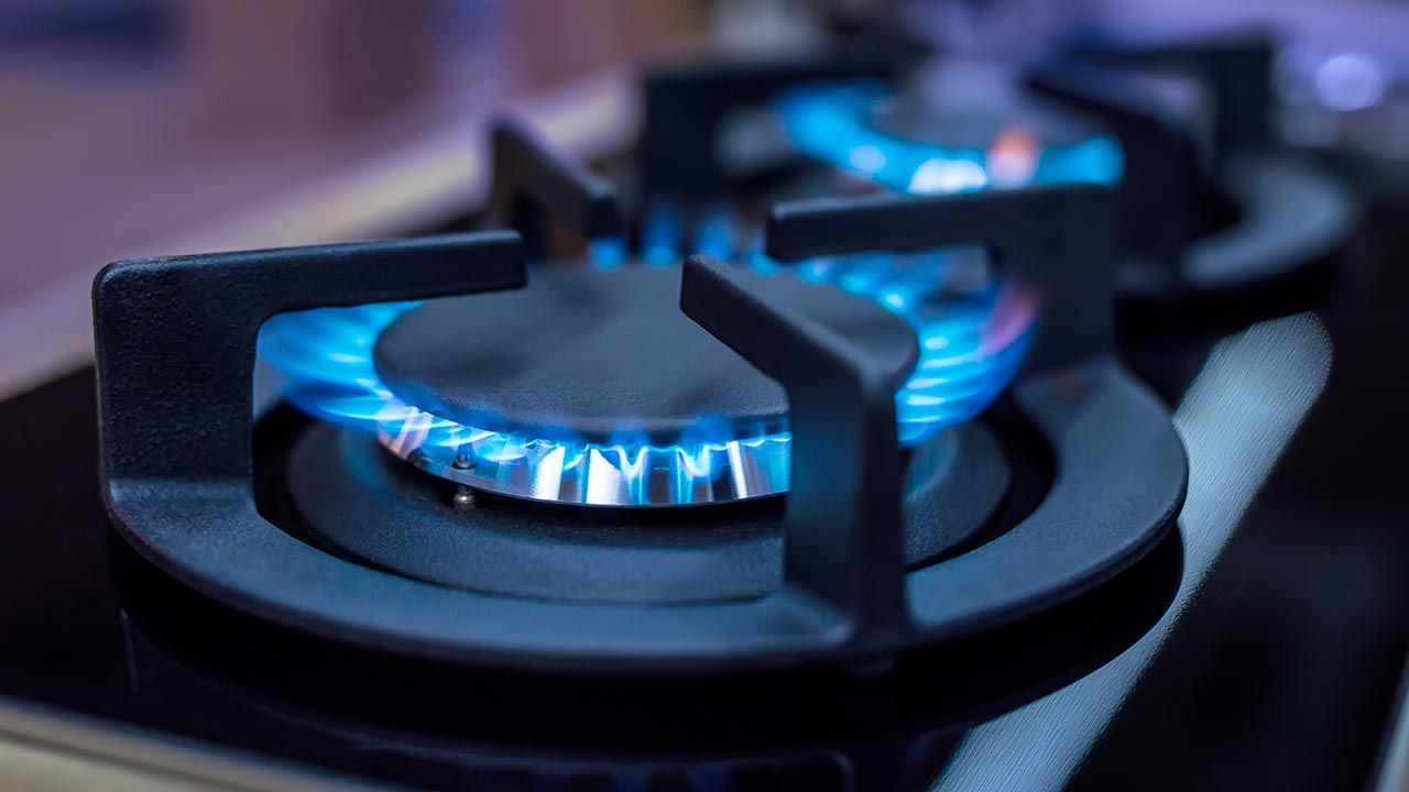 Nowy projekt zakłada możliwość rozłożenia w czasie podwyżek cen gazu dla gospodarstw domowych (fot. Shutterstock/Marian Weyo)