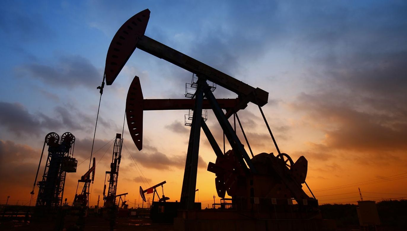Gaz i ropa tanieją (fot. Shutterstock/pan demin)