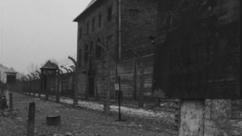 Auschwitz