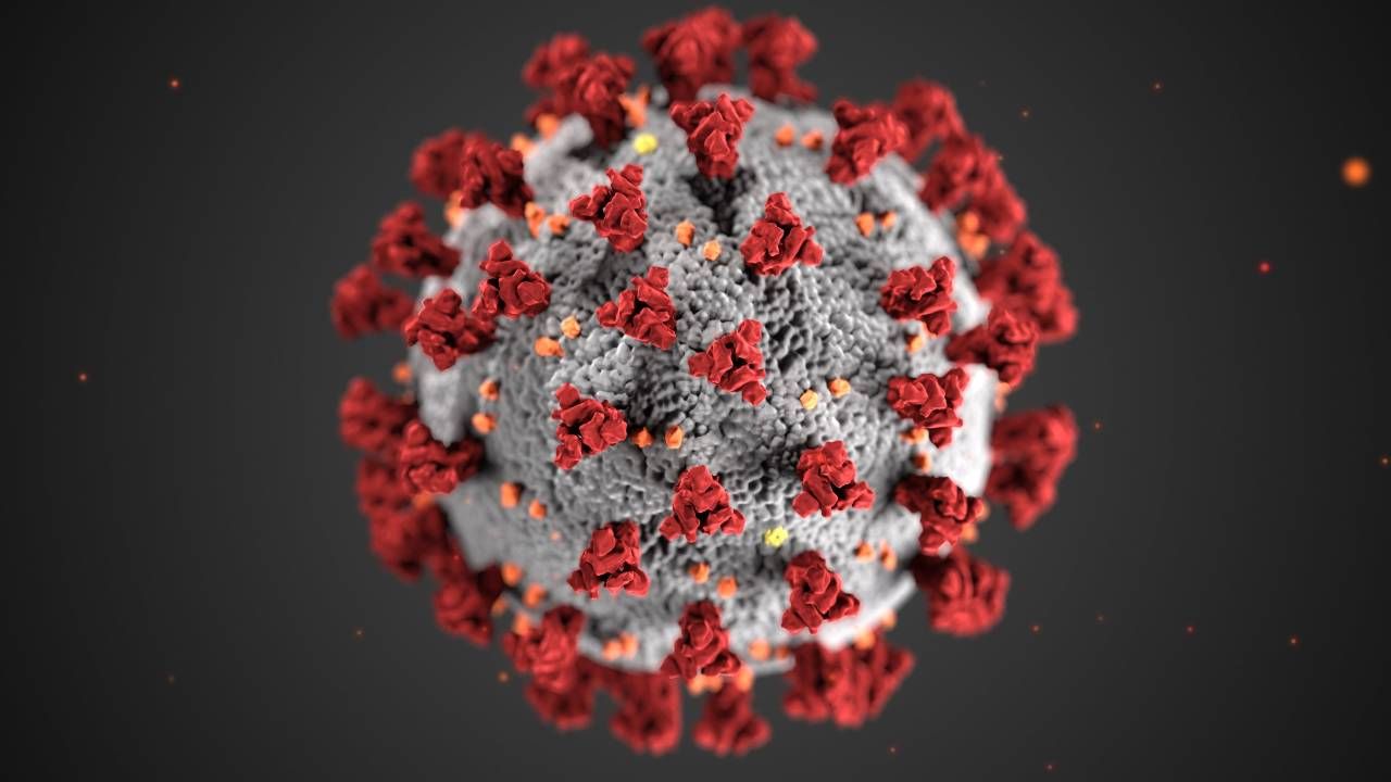 Świat zmaga się z epidemią koronawirusa (graf. CDC)