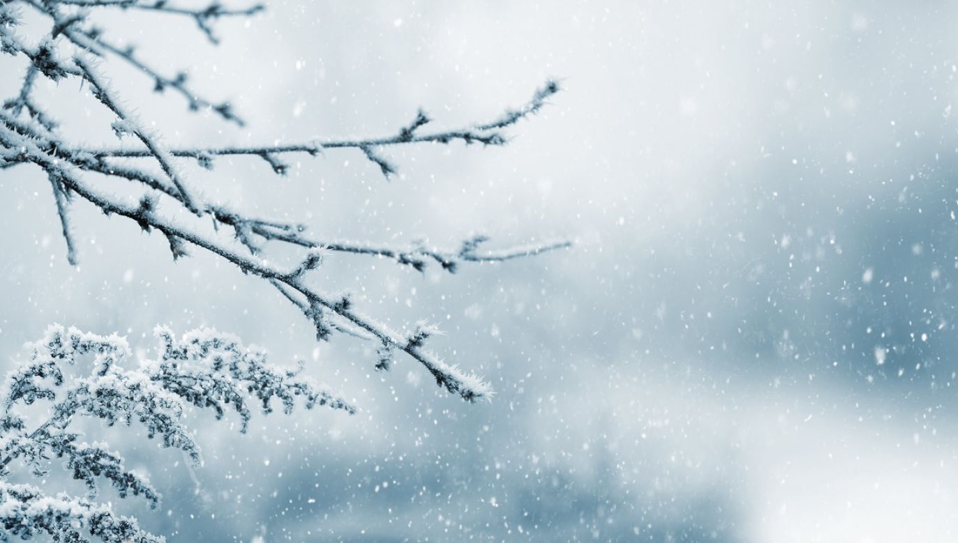 Od ziemi lubuskiej przez Kujawy po północne Mazowsze mogą się zdarzyć opady śniegu (fot. Shutterstock)