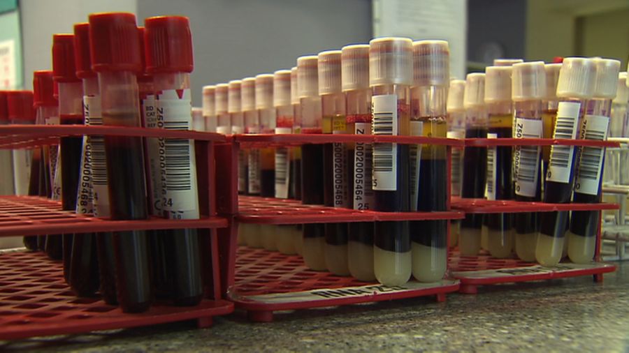 Płynny składnik krwi na wagę życia. Pierwsi wyleczeni z COVID ...