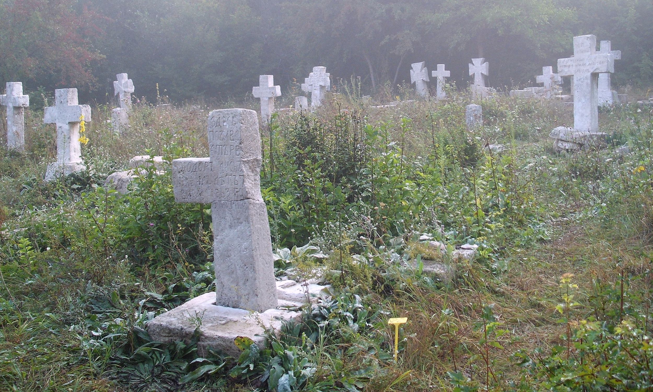 Najstarszy z cmentarzy prawosławnych w Prytulivce, remontowany w 2012 roku przez Stowarzyszenie Magurycz. Fot. Wikimedia/Birczanin – praca własna, CC BY-SA 3.0
