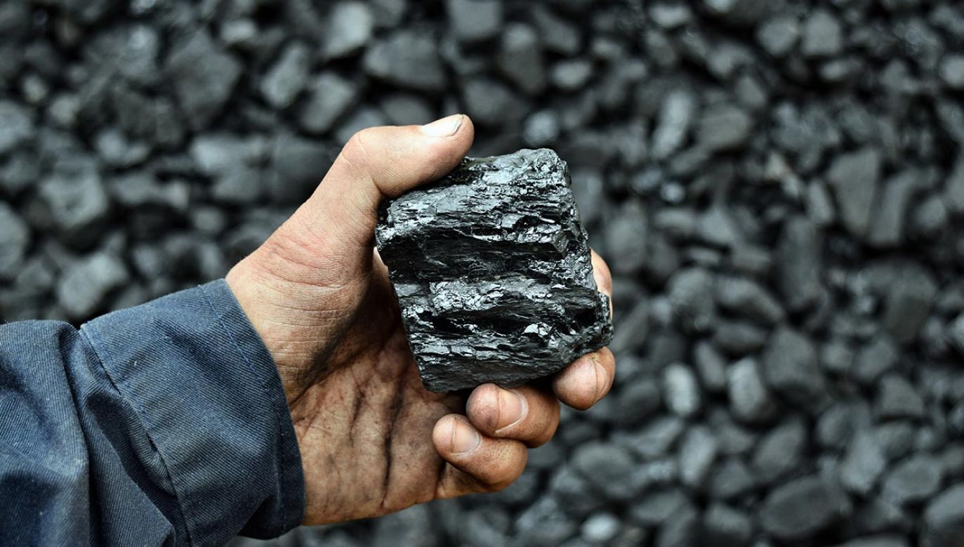 Węgiel w składzie pokazanym w TVN24 sprzedawany jest z prawie trzykrotną przebitką (fot. Shutterstock)