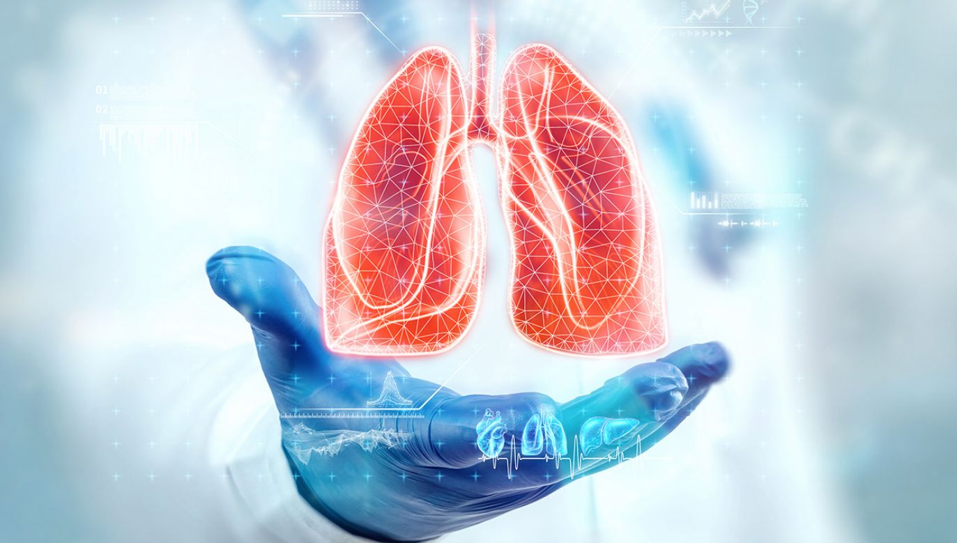 Obmyślono test, który szybko wykrywa w moczu chorego, czy zapalenie płuc wywołały bakterie czy wirusy (fot. Shutterstock/Marko Aliaksandr)
