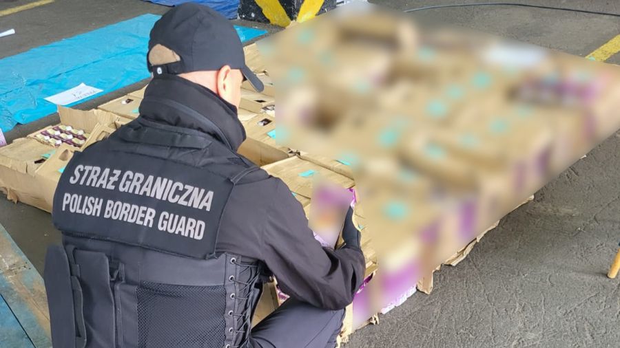 [Obrazek: uid_b5f525ff648f437a8d1ded6ae306d43f_wid...ht_506.jpg]