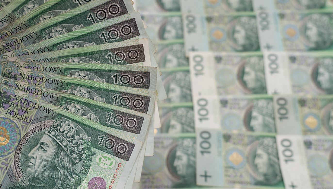 Raport na temat zadłużenie w Polsce (fot. shutterstock/Trineso)
