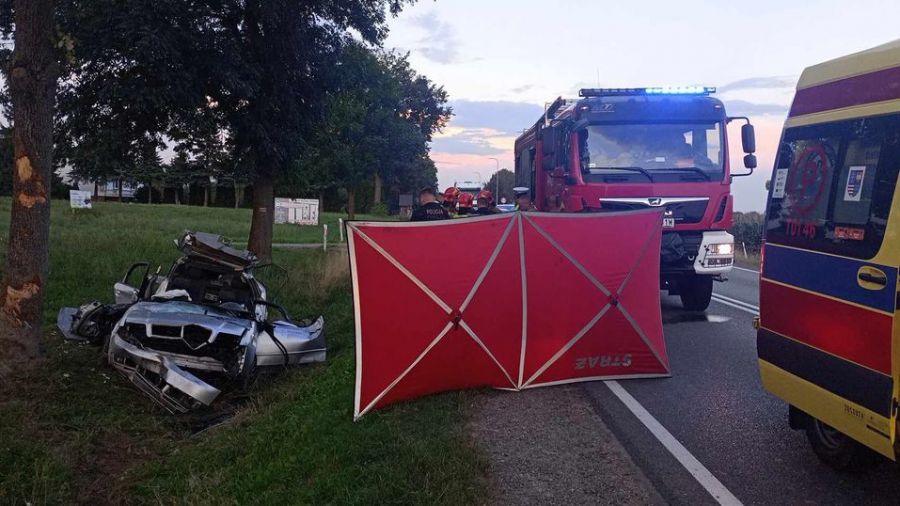 Śmiertelny wypadek w Gołoszycach. Auto wypadło z drogi i uderzyło w drzewo