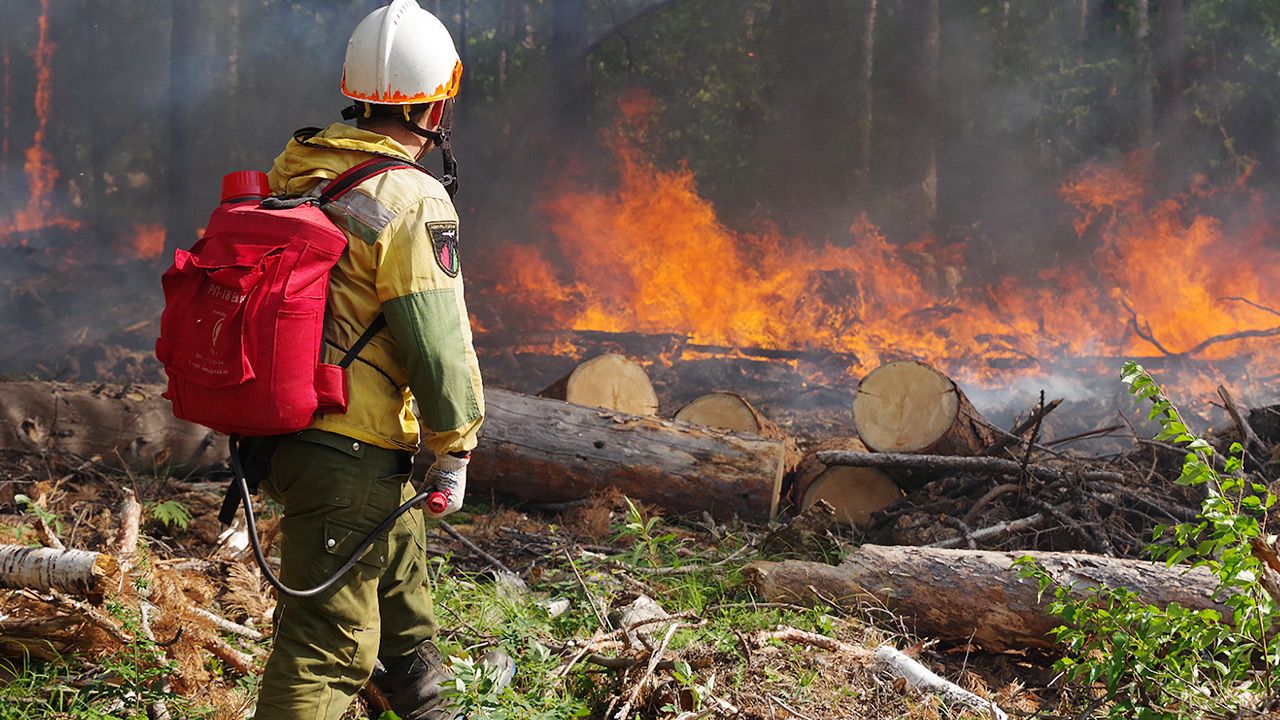 Spłonęło ponad 17,3 mln hektarów syberyjskich lasów (fot. Russian Aerial Forest Protection\TASS via Getty Images)
