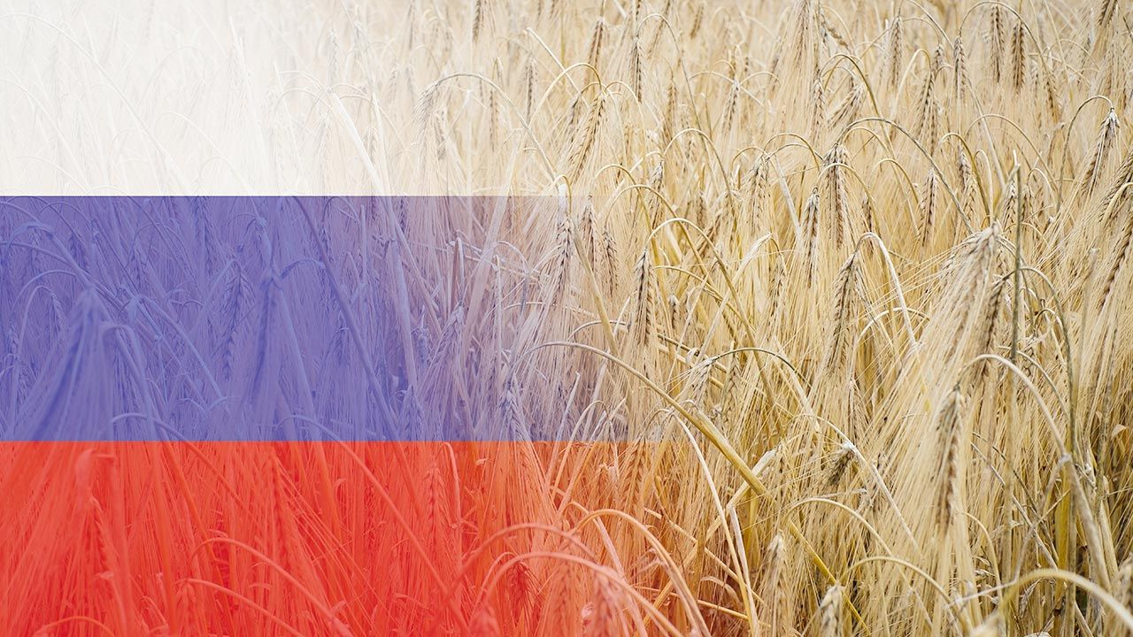 Holenderska firma pomaga Rosjanom w eksporcie zboża (fot. Shutterstock)