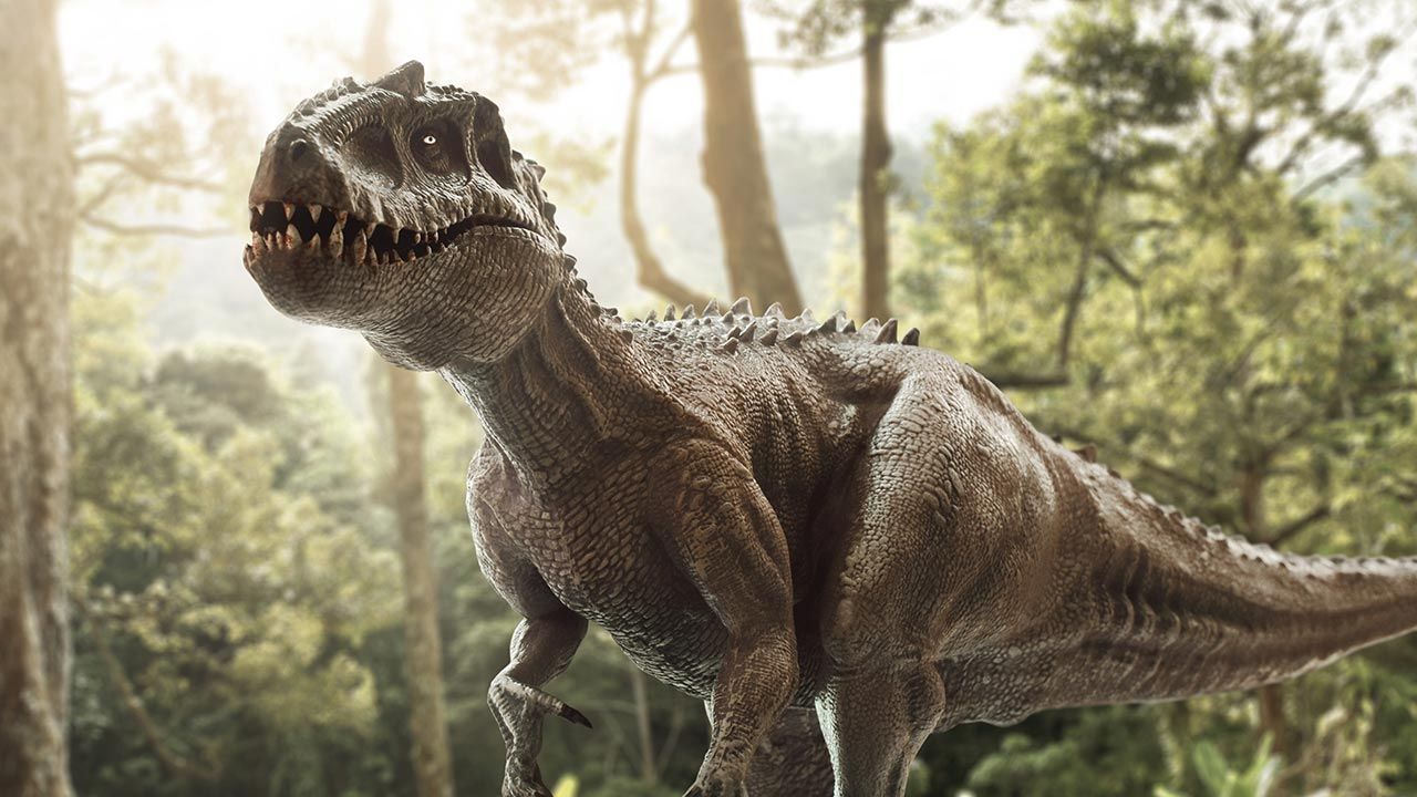 Tyrannosaurus rex ma opinię jednego z najpotężniejszych i najniebezpieczniejszych drapieżników w historii świata (fot. Shutterstock/FOTOKITA)