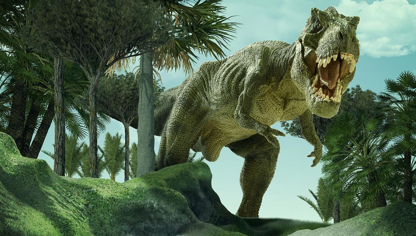 Mięsożerne tyranozaury były zwierzętami społecznymi – sugerują najnowsze badania (fot. Shutterstock)