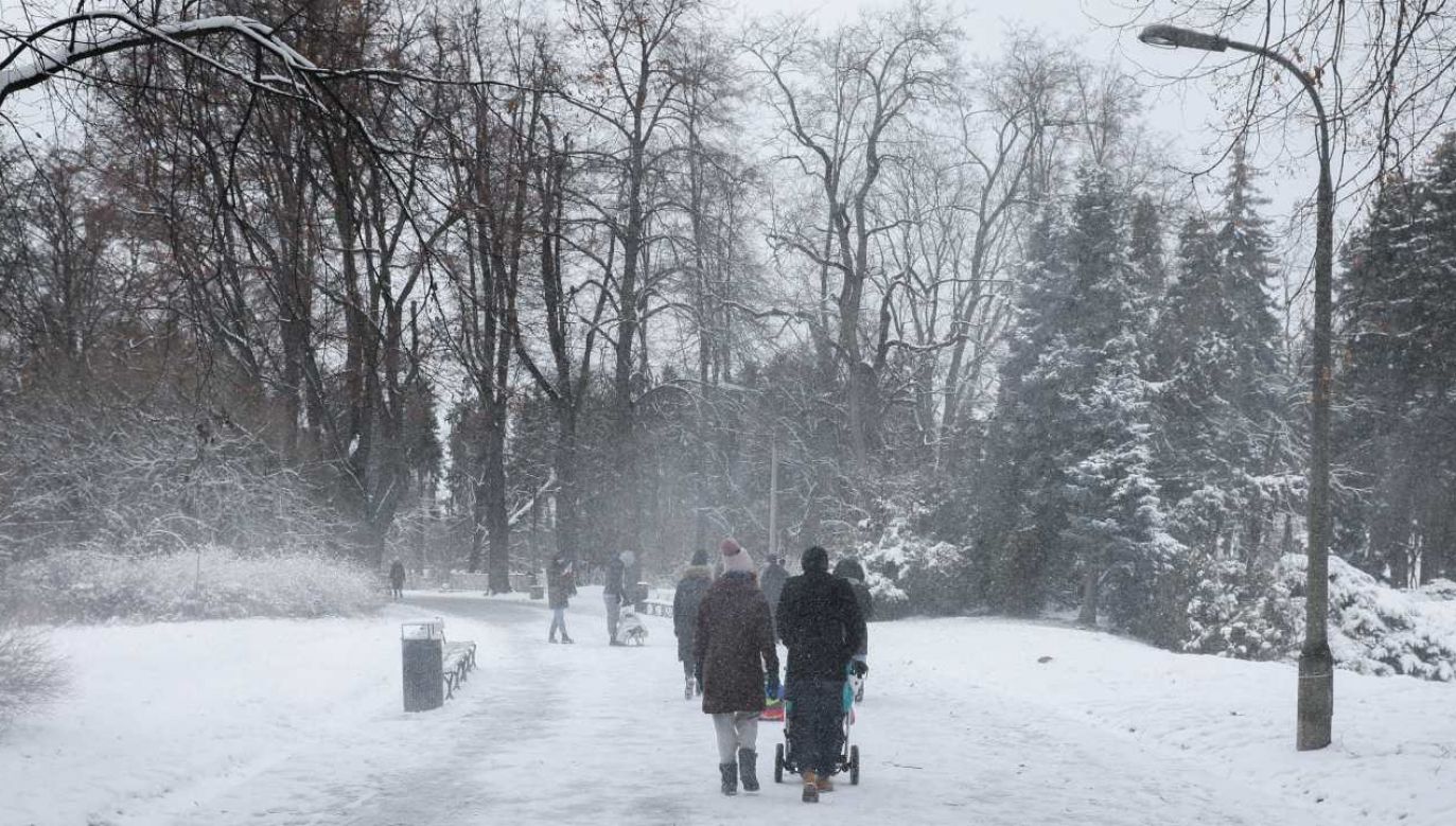 Prognoza pogody na wtorek 7 lutego (fot. PAP/Paweł Supernak)