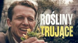 Rośliny trujące