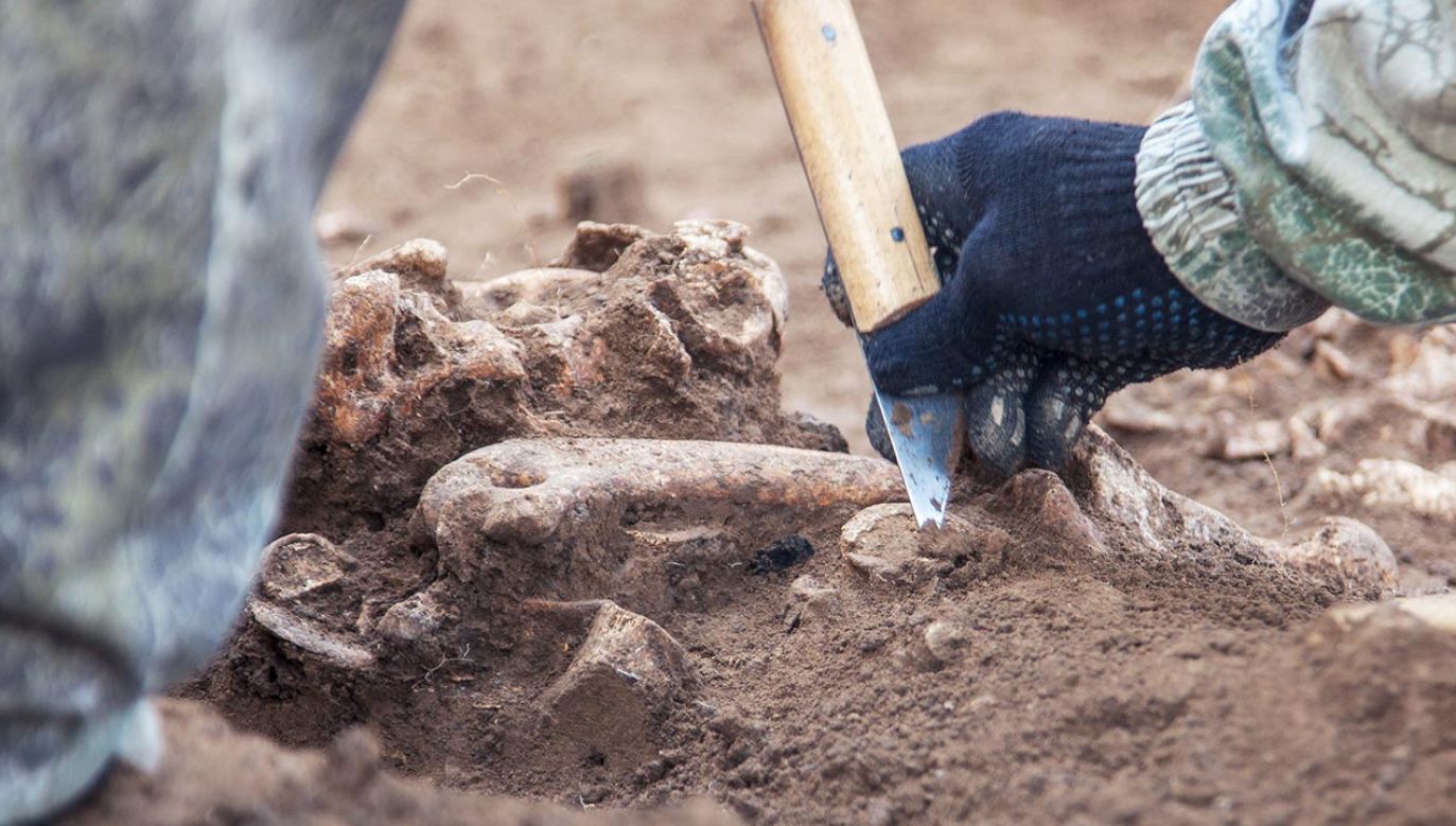 Podczas wykopalisk w ruinach osady sprzed 2000 lat w Wroxeter City archeolodzy odkryli przybory kosmetyczne (fot. Shutterstock)